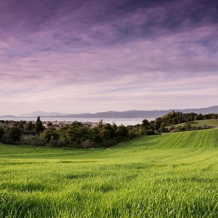 Topalidi'S Home Nea Palatia Bagian luar foto