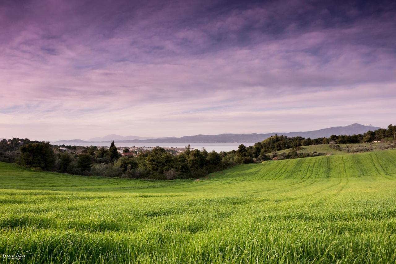 Topalidi'S Home Nea Palatia Bagian luar foto